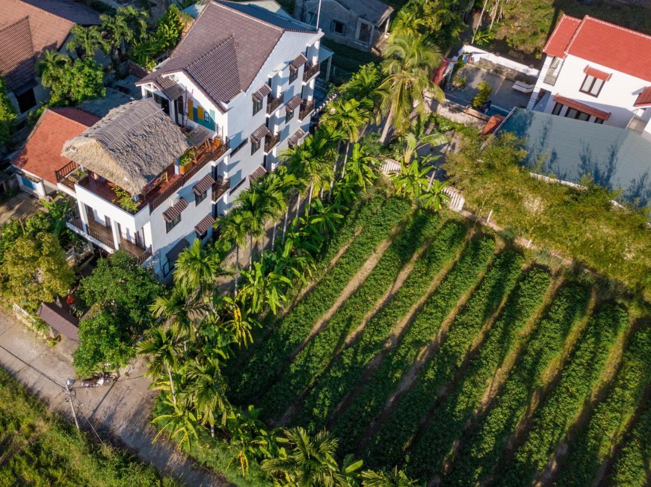 The Bau Bi Retreat Leilighet Hoi An Eksteriør bilde